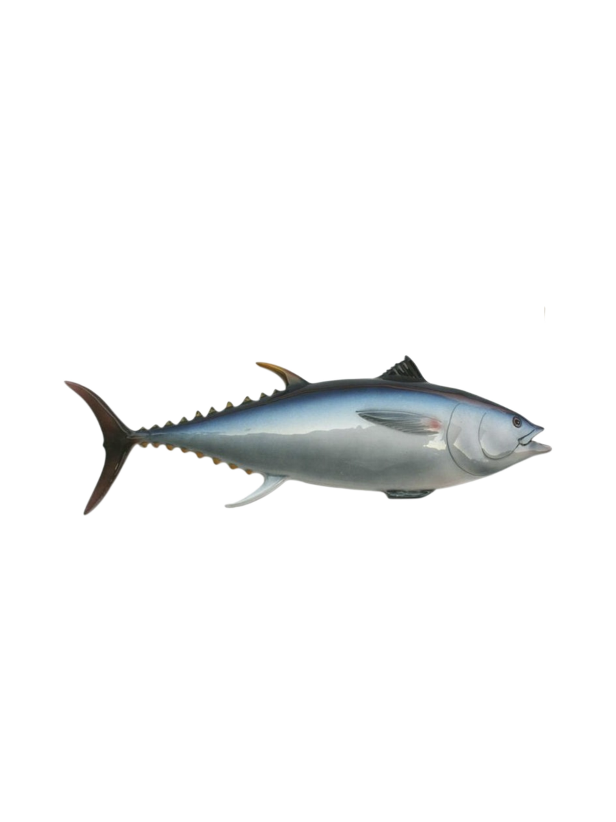 Ceramic Fish - Tuna Magnet
