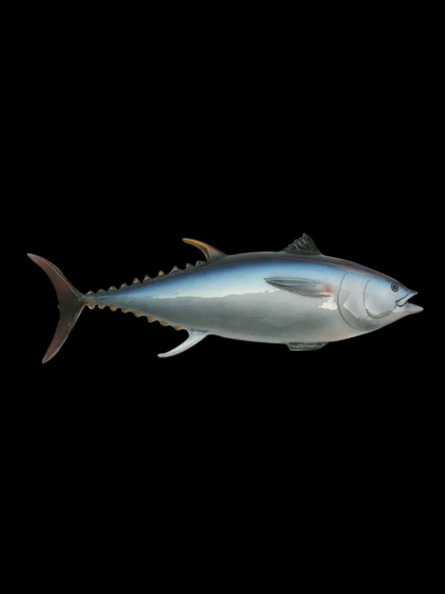 Ceramic Fish - Tuna