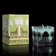 Fico d'India Square Candle