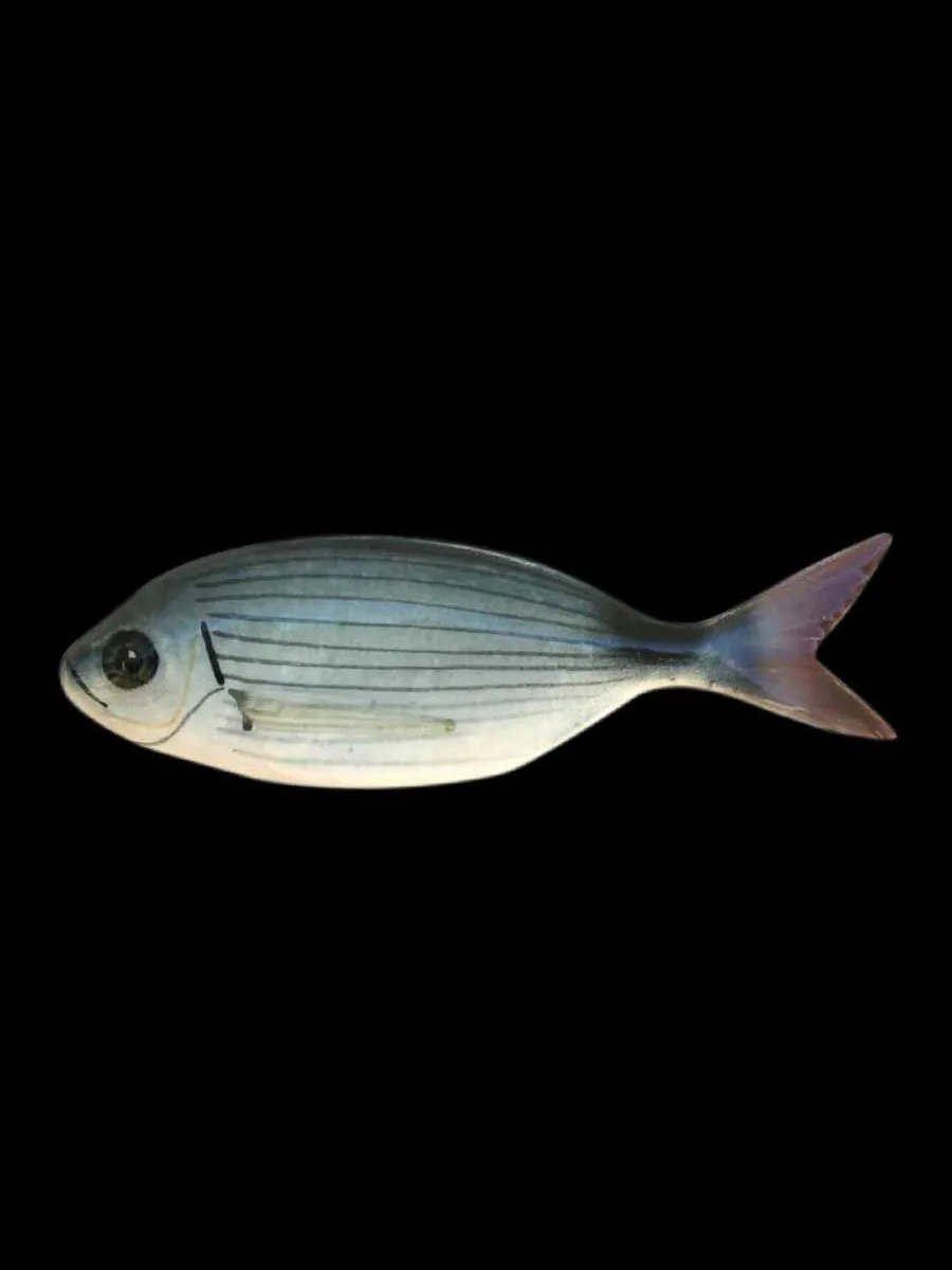 Ceramic Fish - Oblade