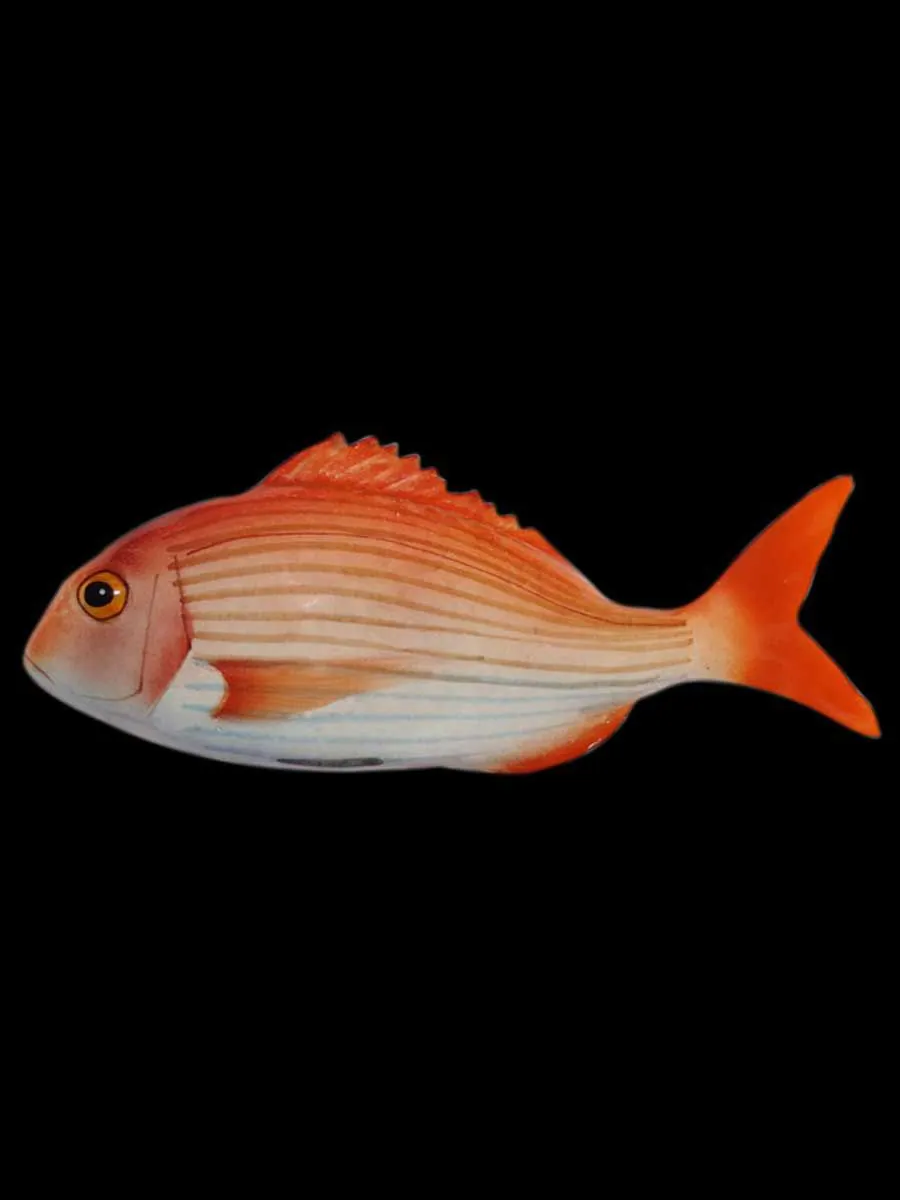 Ceramic Fish - Pagro