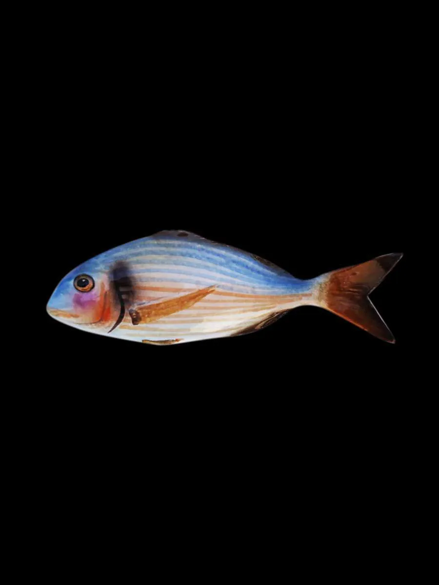 Pesce di Ceramica - Orata