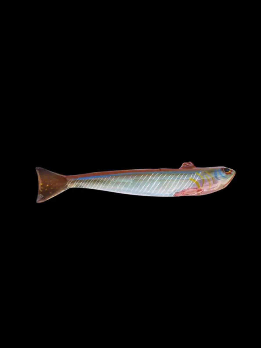 Ceramic Fish - Weever